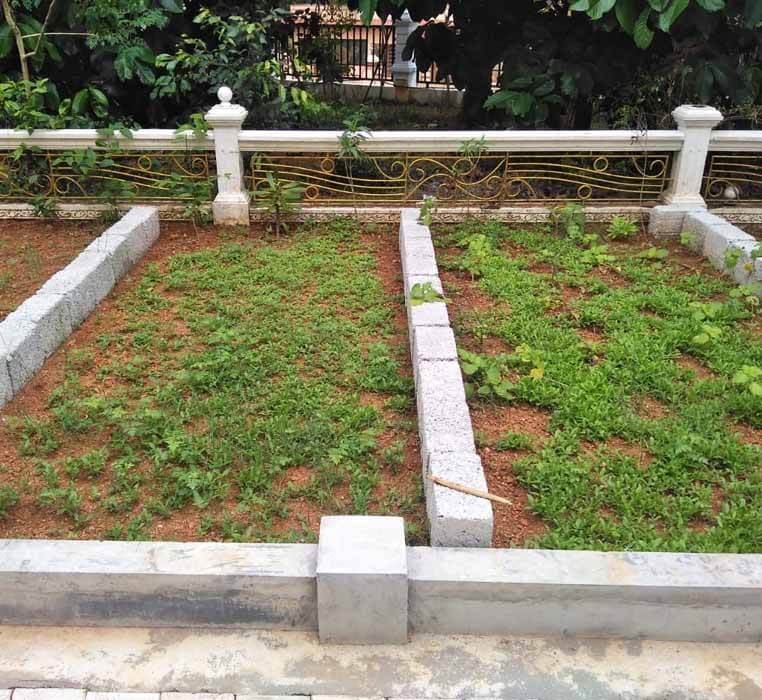 Yoga Training in Kerala-Kottayam