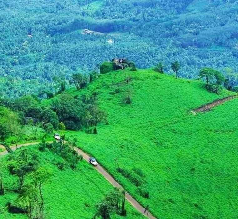 Yoga Training in Kerala-Kottayam