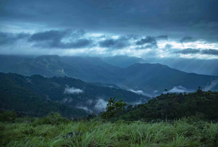 Yoga Training in Kerala-Kottayam