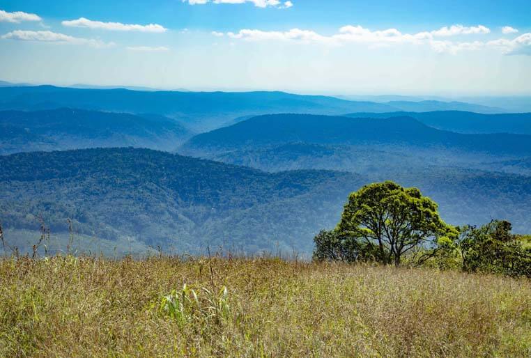 Yoga Training in Kerala-Kottayam