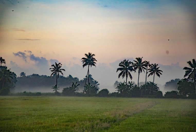 Yoga Training in Kerala-Kottayam