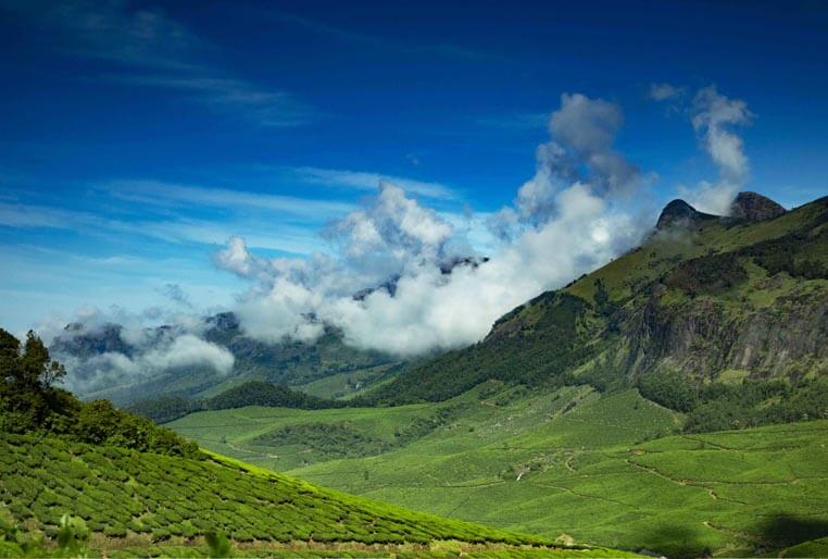 Yoga Training in Kerala-Kottayam